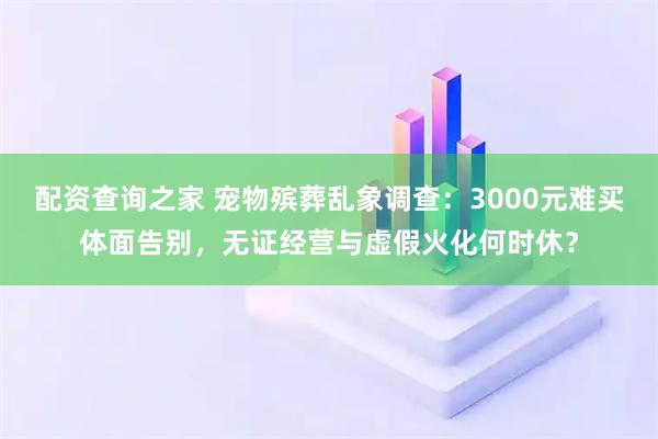 配资查询之家 宠物殡葬乱象调查：3000元难买体面告别，无证经营与虚假火化何时休？