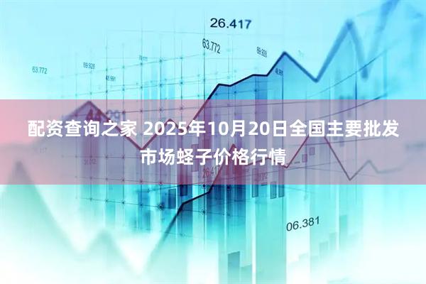 配资查询之家 2025年10月20日全国主要批发市场蛏子价格行情