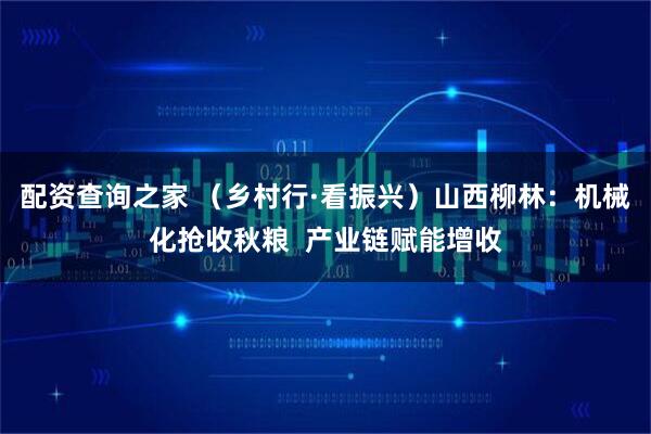 配资查询之家 （乡村行·看振兴）山西柳林：机械化抢收秋粮  产业链赋能增收